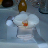 Avigail Kosher Nourriture