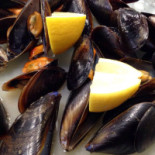 Frittovivo Nourriture