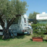 Sena Park Dentro