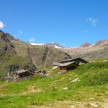 Aglsalm Nourriture