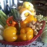 Dente Comida