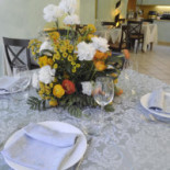 Chicco Rosa Comida