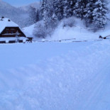 Alte Hutte food