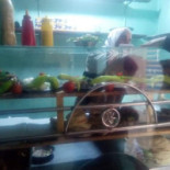 فول وفلافل تحبيشة food