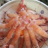 Fishanddrinks Nourriture