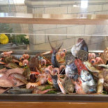 Il Pantaleo Comida