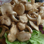 Corsini Comida