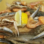 Trattoria Ulderico Comida