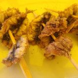 La Conchiglia food