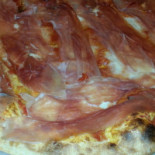 Molto Pizza Gossolengo food