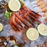 Ostrea Aperitif Fish Nourriture