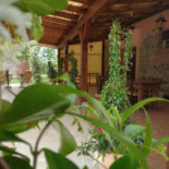Il Selvello Nourriture