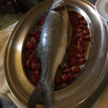 Incipit Food