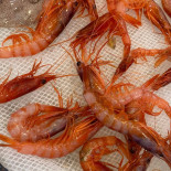 Pescheria Chitarra Fish Nourriture