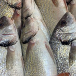Il Mestolone Comida