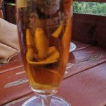 Srní Cibo