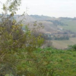 Agriturismo L'isola Che Non C'e À l'intérieur