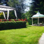 Villa Ronchi Nourriture