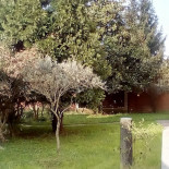 Locanda I Tarocchi Comida