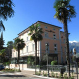 Olivo Exterior