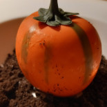 Regiacorte Comida