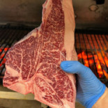 Paddock Comida
