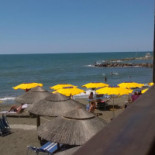 Blue Marlin Comida