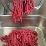 Nonsolochianina Nourriture