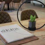 Neps Pizzeria Grill Nourriture