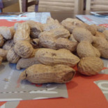Galloway Follonica Nourriture