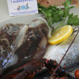 L'acquapazza Comida