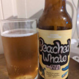 Seascale Cibo
