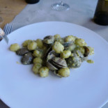 Lognina Comida