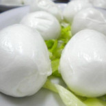 Antico Ricupo Nourriture