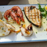 Albatros Comida