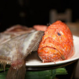 Settimo Food