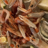 Palatoraffinato Monteporzio food