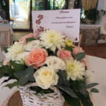 Villa Samuel Comida