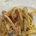 Exclusive Comida