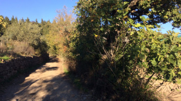 Agriturismo Massoserpente outside