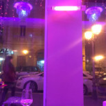 Alba Nourriture