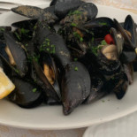 Mareluna 2.0 Cibo