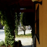 Edelweiss Exterior