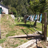 Rifugio Tavecchia Nourriture