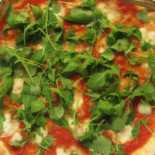 Il Cardo Comida