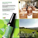 Amnesya Comida