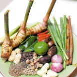 Mò Comida