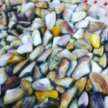 La Greppia food