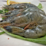 Selmi 22 Comida