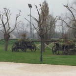 Palazzon Nourriture